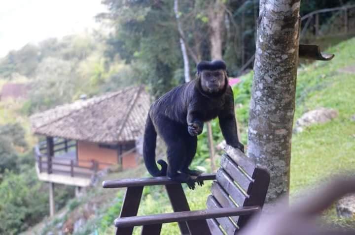 Vista Linda Hotel Itatiaia  Εξωτερικό φωτογραφία