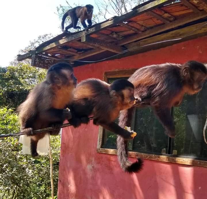 Vista Linda Hotel Itatiaia  Εξωτερικό φωτογραφία